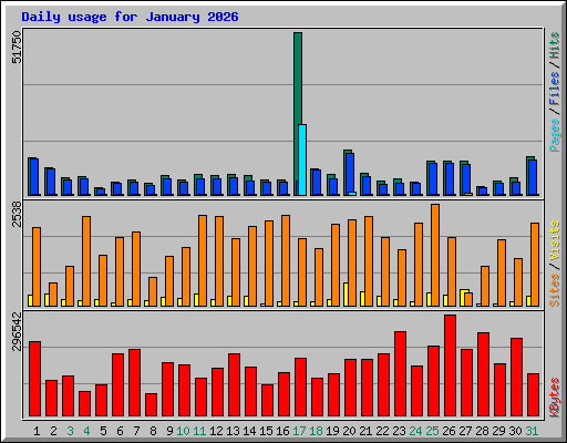 Daily usage for January 2026