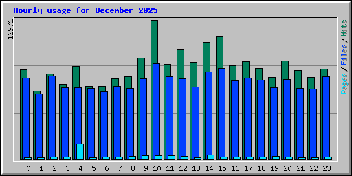 Hourly usage for December 2025