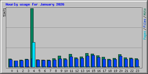 Hourly usage for January 2026